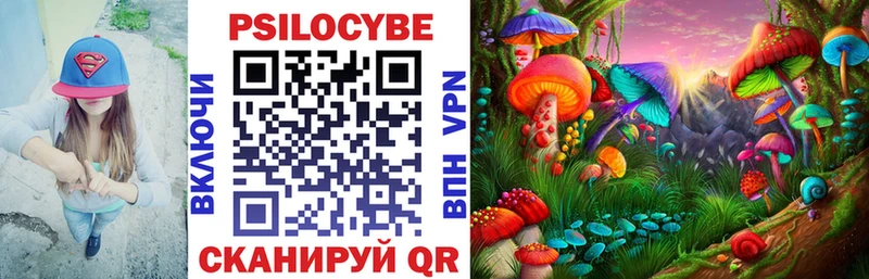наркошоп  Сельцо  Галлюциногенные грибы Magic Shrooms 